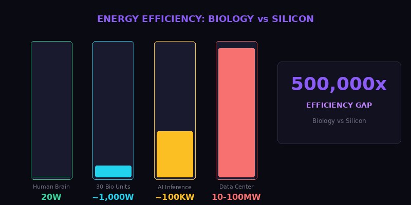 Energy Efficiency - Biology vs Silicon - 500,000x Gap