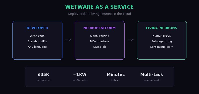 Wetware as a Service - Deploy to Living Neurons