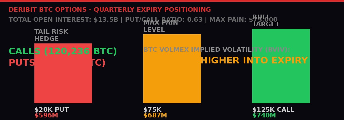 Bitcoin options quarterly expiry Deribit positioning March 20 2026