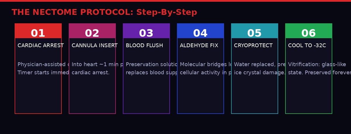 Nectome 6-step preservation protocol