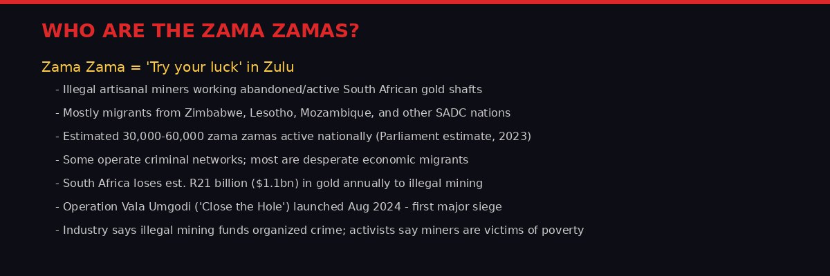 Infographic explaining who the zama zamas are