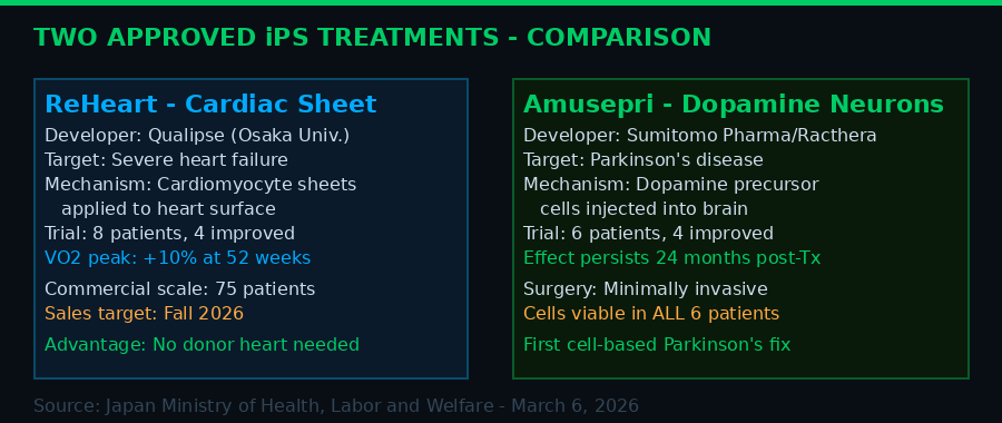 ReHeart vs Amusepri: Comparison of Japan's Two Approved iPS Cell Treatments