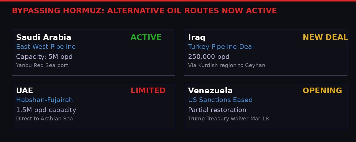 Hormuz bypass routes infographic