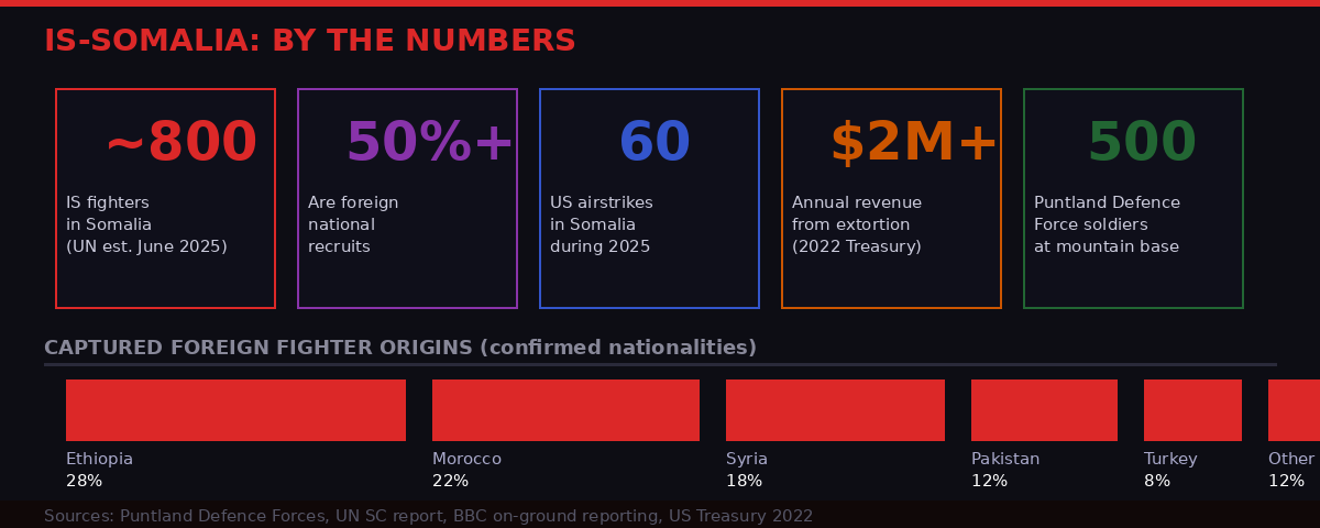 IS-Somalia data and fighter origins infographic